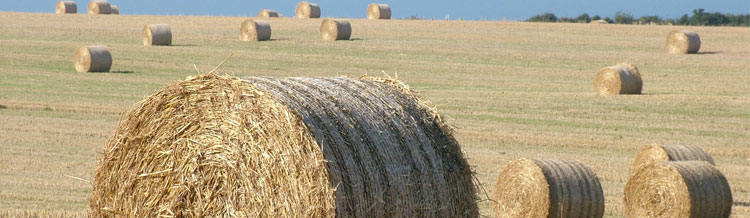 Tributo territorial rural