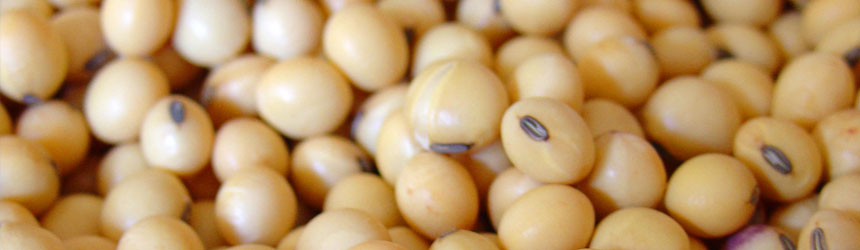 La implementación de la Resolución 125 hubiese convertido inviable al sector agrícola